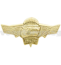 Значок 45 гв. ОРП (крылья с волком и парашютом)