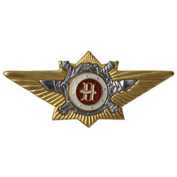 Значок Классность офицерская МВД, наставник