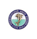 Значок 225 лет Черноморскому флоту России (круглый)