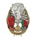 Значок 60 лет 103 ВДД, 1945-2005 (с орлом и парашютистом)