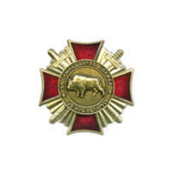 Значок За самоотверженную службу ВВ МВД Белоруссии (золотой, 1 степень)