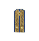Значок Погон ВВС (холодная эмаль, на пимсе)