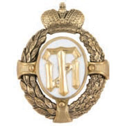 Значок ТИ (овал с эмблемой Санкт-Петербургского государственного технологического института)