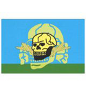 Флаг ВДВ Череп 90х135см (однослойный)