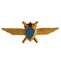 Значок Классность ВВС СССР, общая (без разряда)