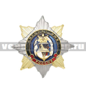 Значок Орден-звезда Спецназ ВМФ (морской котик с флагами), с накладкой