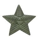 Звезда на погоны 20 мм (рифленая) защитная (МО нового образца, Росгвардия), металл