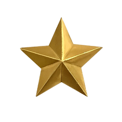 Звезда на погоны 16 мм золотая РЖД (металл)