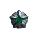 Звезда на погоны 14 мм Общегражданская, серебряная с зеленой эмалью (металл)