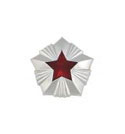 Звезда на погоны 14 мм Роспотребнадзор, серебряная с красной эмалью (металл)