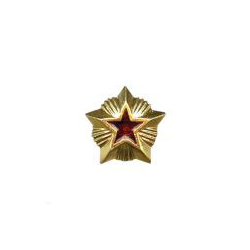 Звезда на погоны 14 мм Таможня, золотая с красной эмалью (металл)