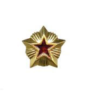 Звезда на погоны 20 мм Таможня, золотая с красной эмалью (металл)