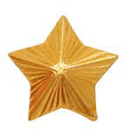 Звезда на погоны 16 мм Казачья (с лучами) золотая (металл)