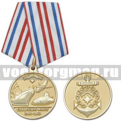 Медаль 80 лет Северному флоту (1933-2013),  с бланком удостоверения