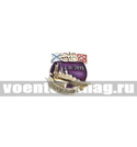 Значок СВ Сообразительный III.2010