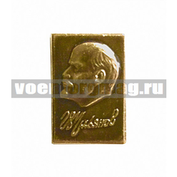 Значок Ульянов, на булавке