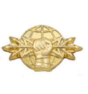 Эмблема петличная РЭБ, золотая, металл (пара)