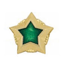 Звезда на погоны 20 мм ФССП, золотая с зеленой эмалью (металл)